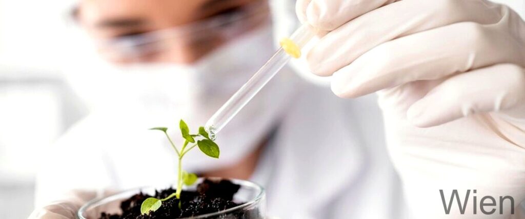 Die 3 besten Biotechnologieunternehmen in Wien
