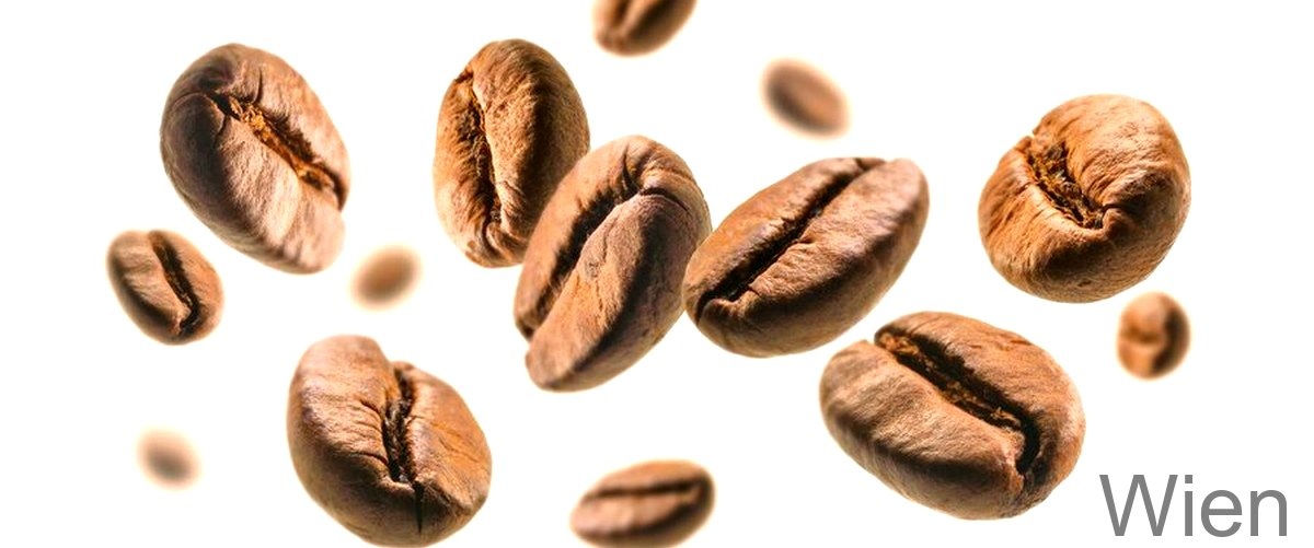 Die 7 besten Cafés in Wien