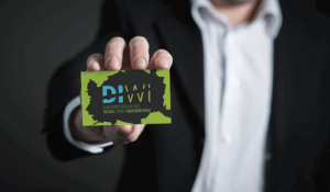 Diwi Hausbetreuung Diewald e.U