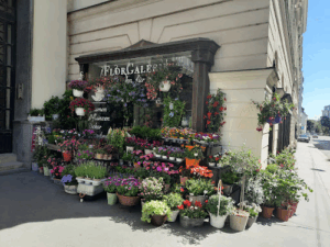 Florgalerie