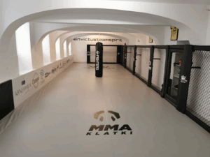 Invictus Brazilian Jiu-Jitsu Vienna