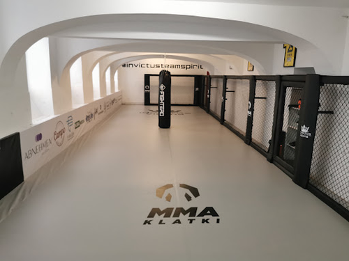 Invictus Brazilian Jiu-Jitsu Vienna