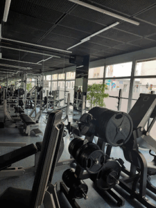 Iron Fist Gym Vienna