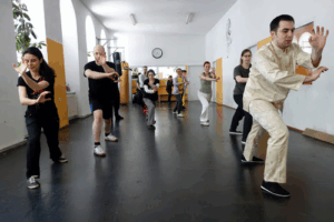 Shaolin Wahnam Wien