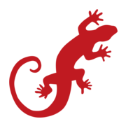 The Lizard Pub & Billiards
