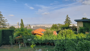 Weinbau Leitner