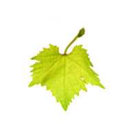 Weinhof Zimmermann